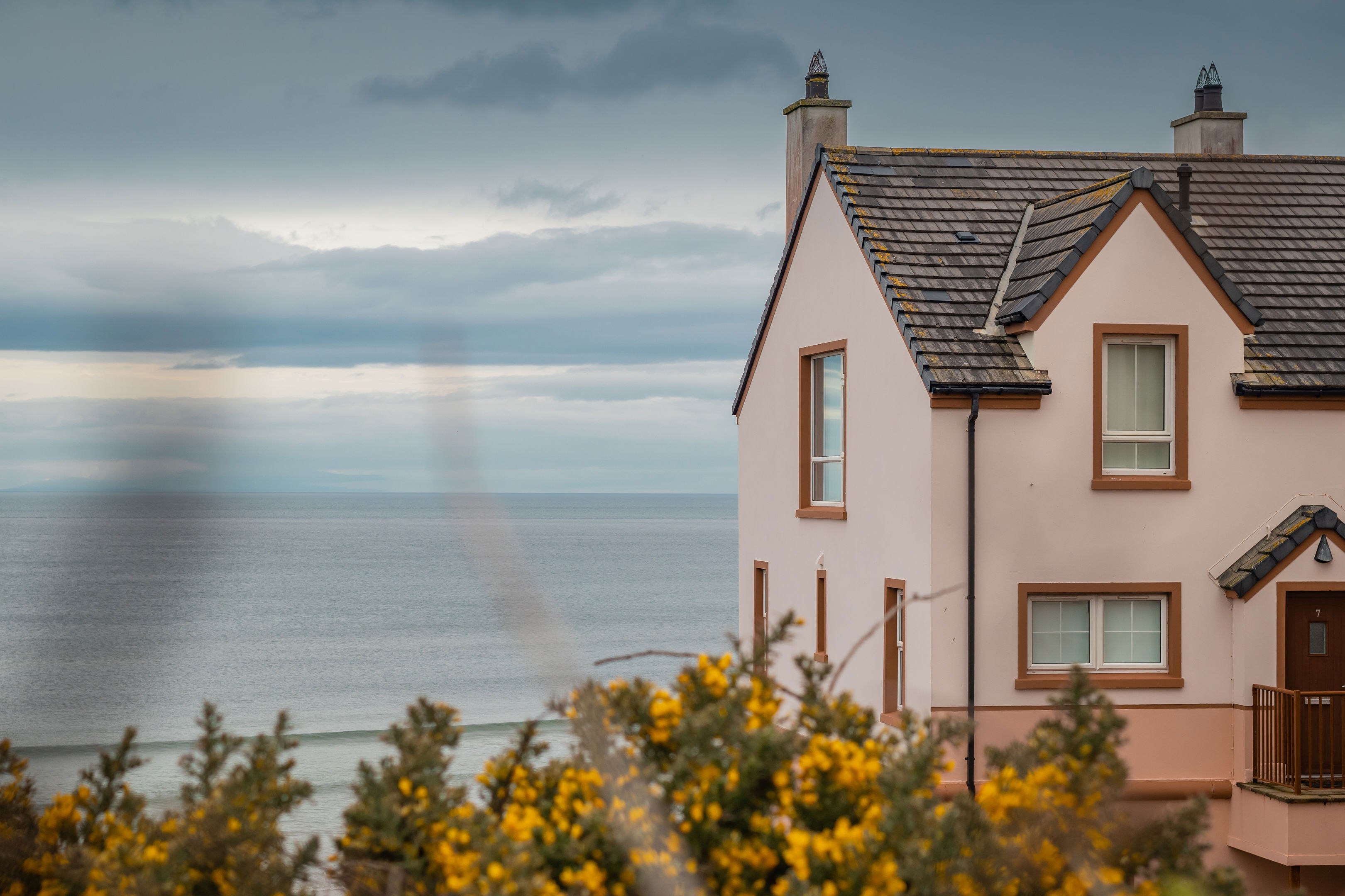 A pink house by the sea, viewed over a foreground of flowering yellow gorse bushes.
