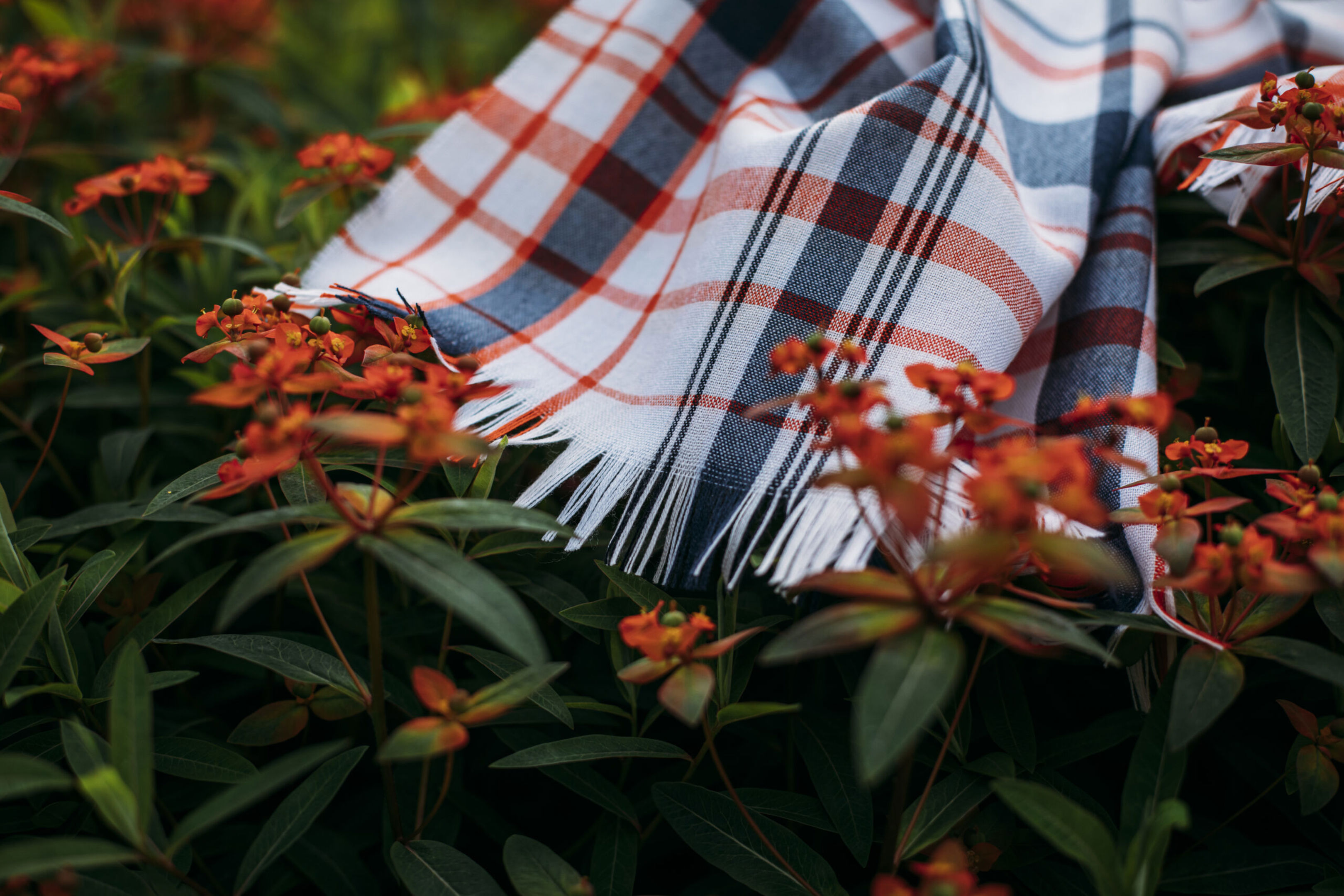 A fringed plaid fabric in white, navy, and orange rests on green foliage with clusters of small, bright orange flowers.