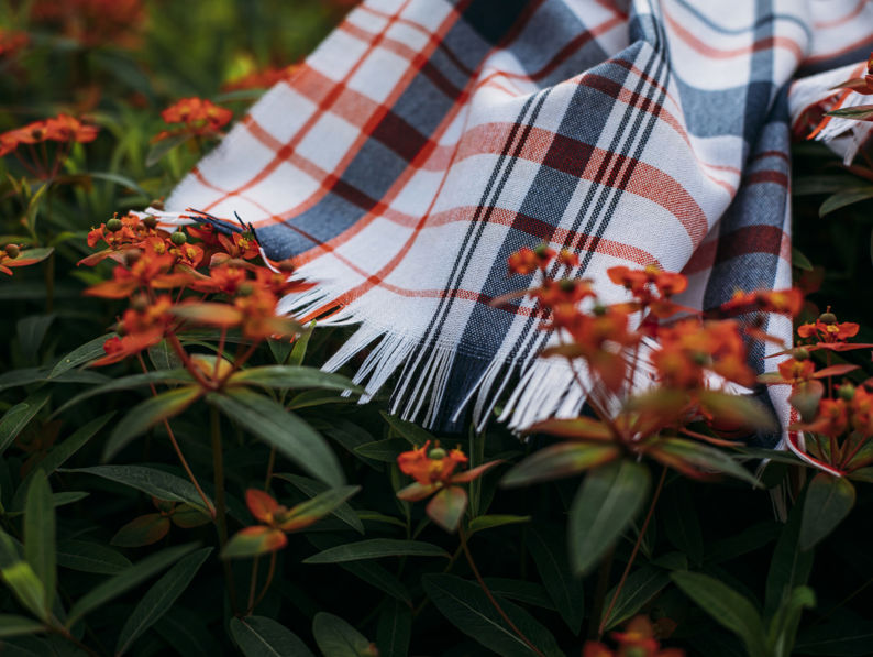 A fringed plaid fabric in white, navy, and orange rests on green foliage with clusters of small, bright orange flowers.