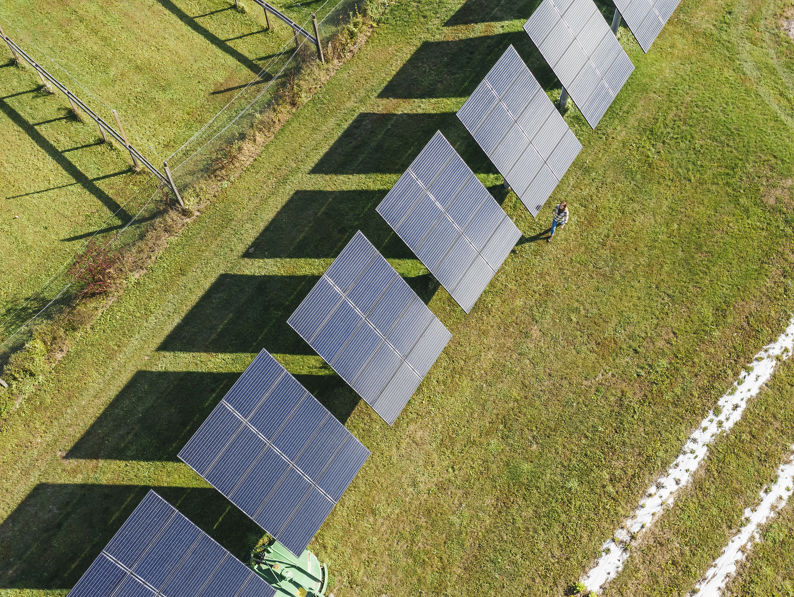 Solar Panels Overhead On Farm