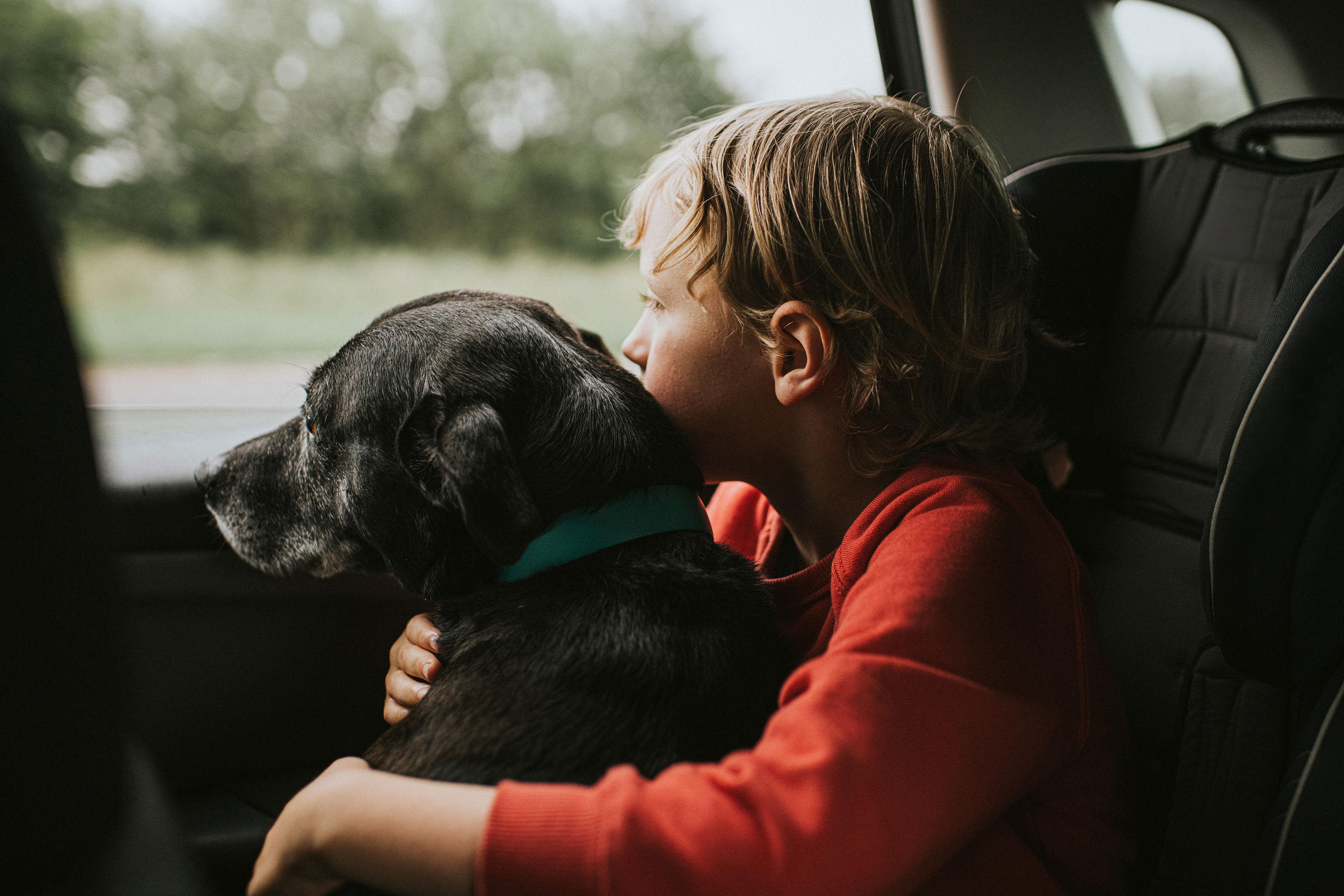 Boy And Dog Looking Out Of A Car Window