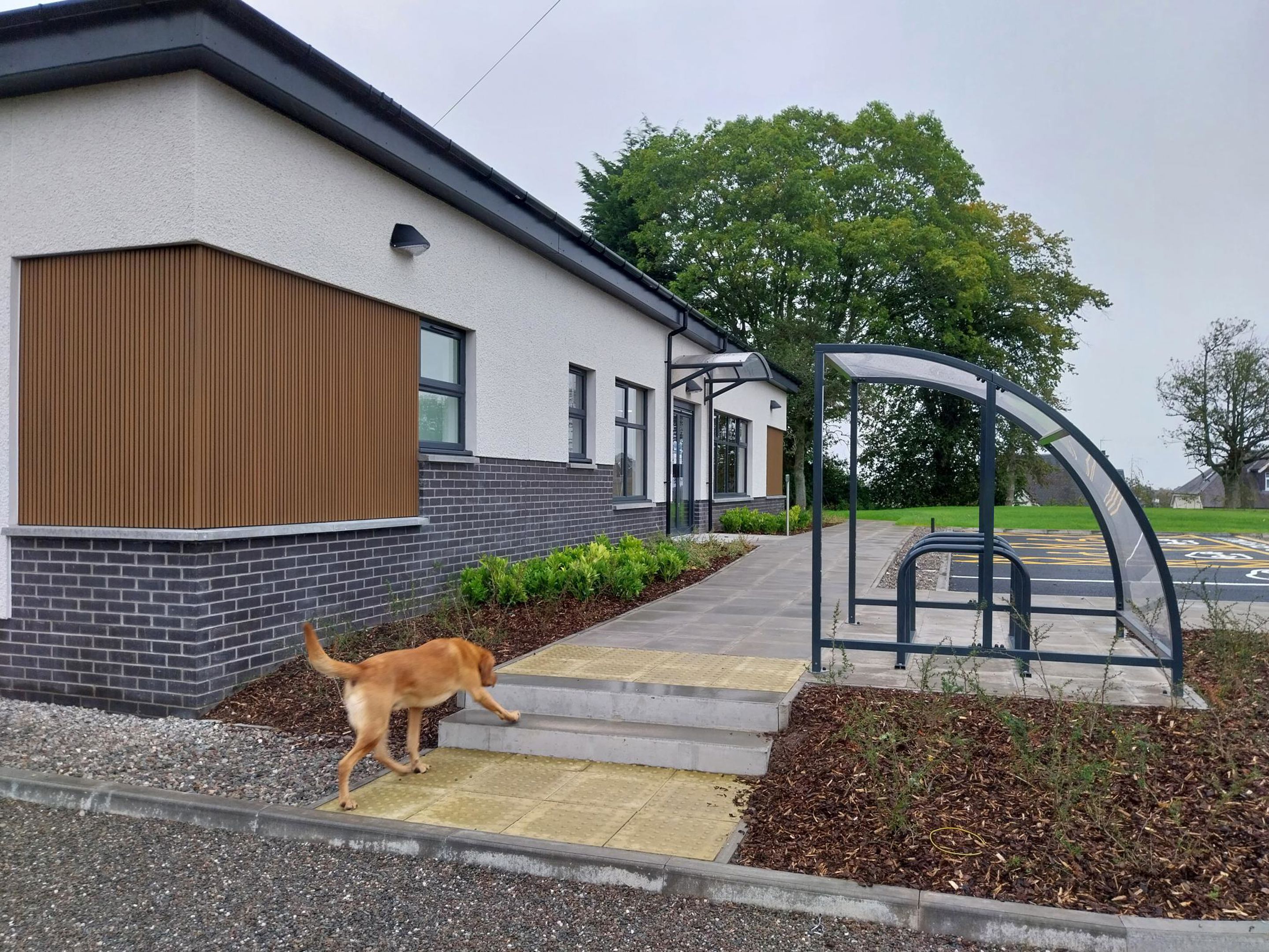 A dog walks up the concrete steps toward the entrance of a modern brick and siding building with a bike shelter.