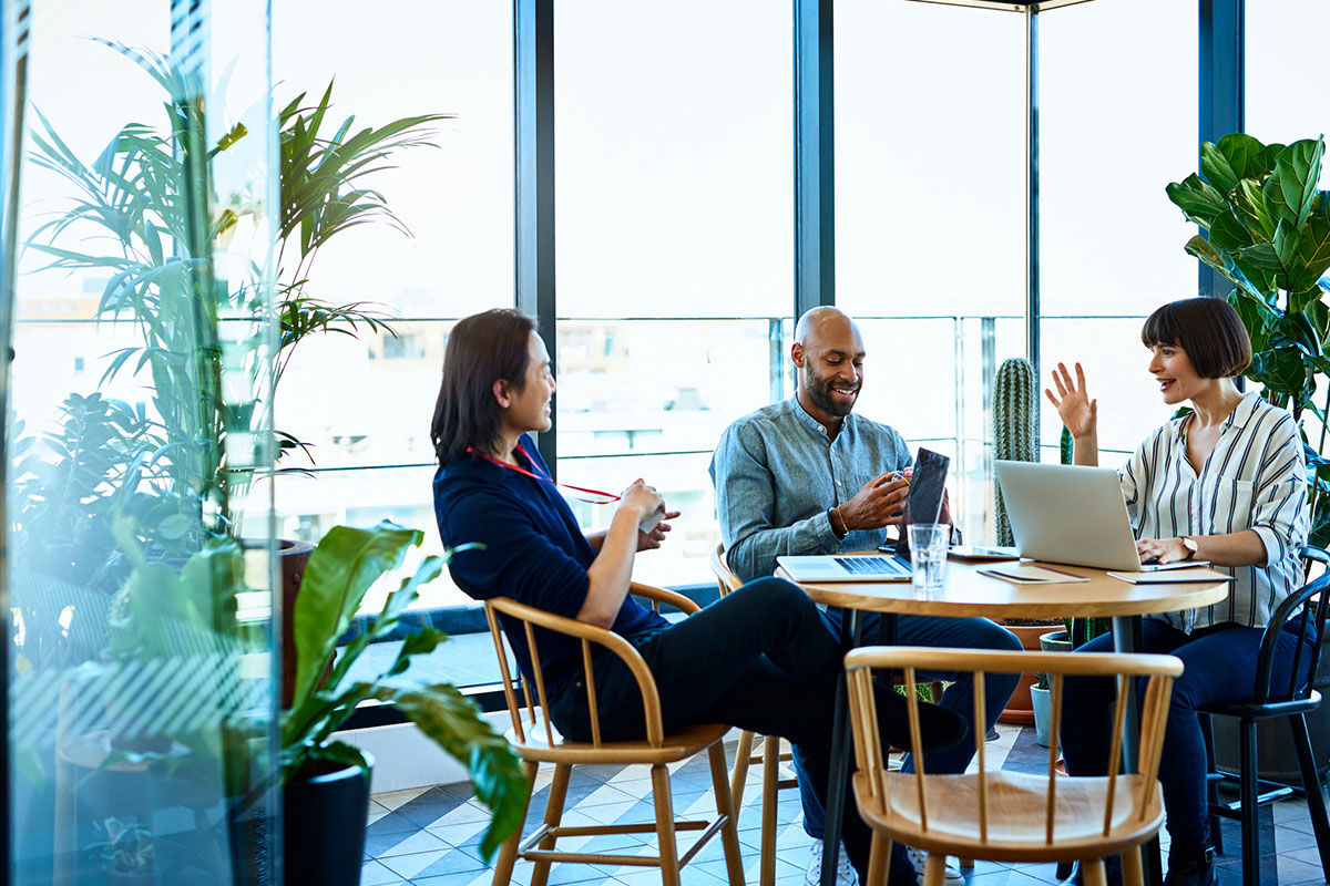 Three people sit around a table with laptops and coffee, having a discussion in a modern, bright office space with large windows and green plants.