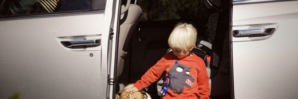 Boy Stroking English Bulldog While Leaning On Car