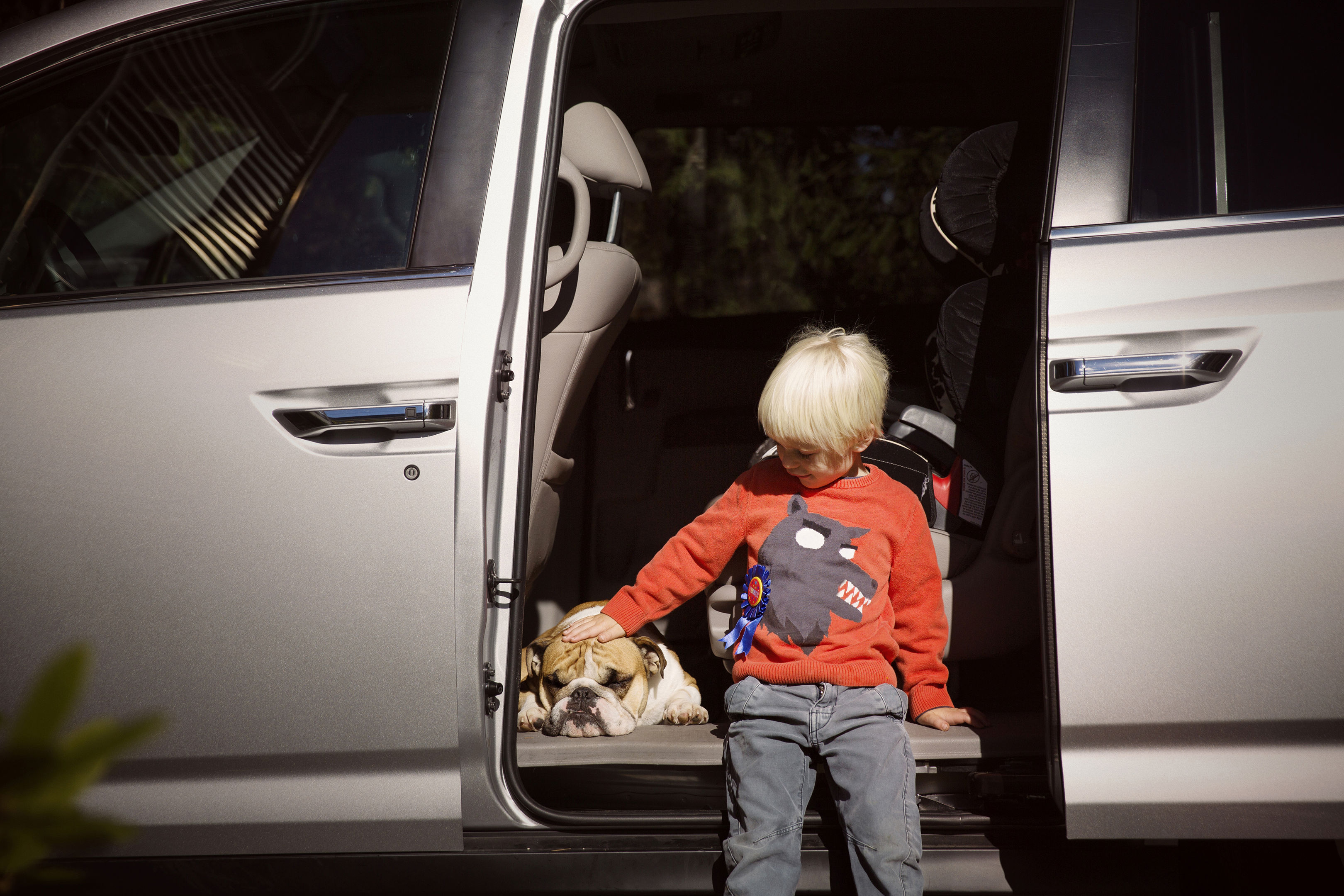 Boy Stroking English Bulldog While Leaning On Car