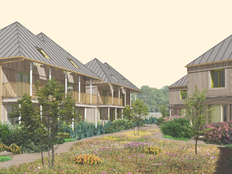 A landscaped courtyard with pathways and wildflowers is surrounded by modern, wooden two-story buildings with pitched roofs, balconies, and greenery on a clear day.