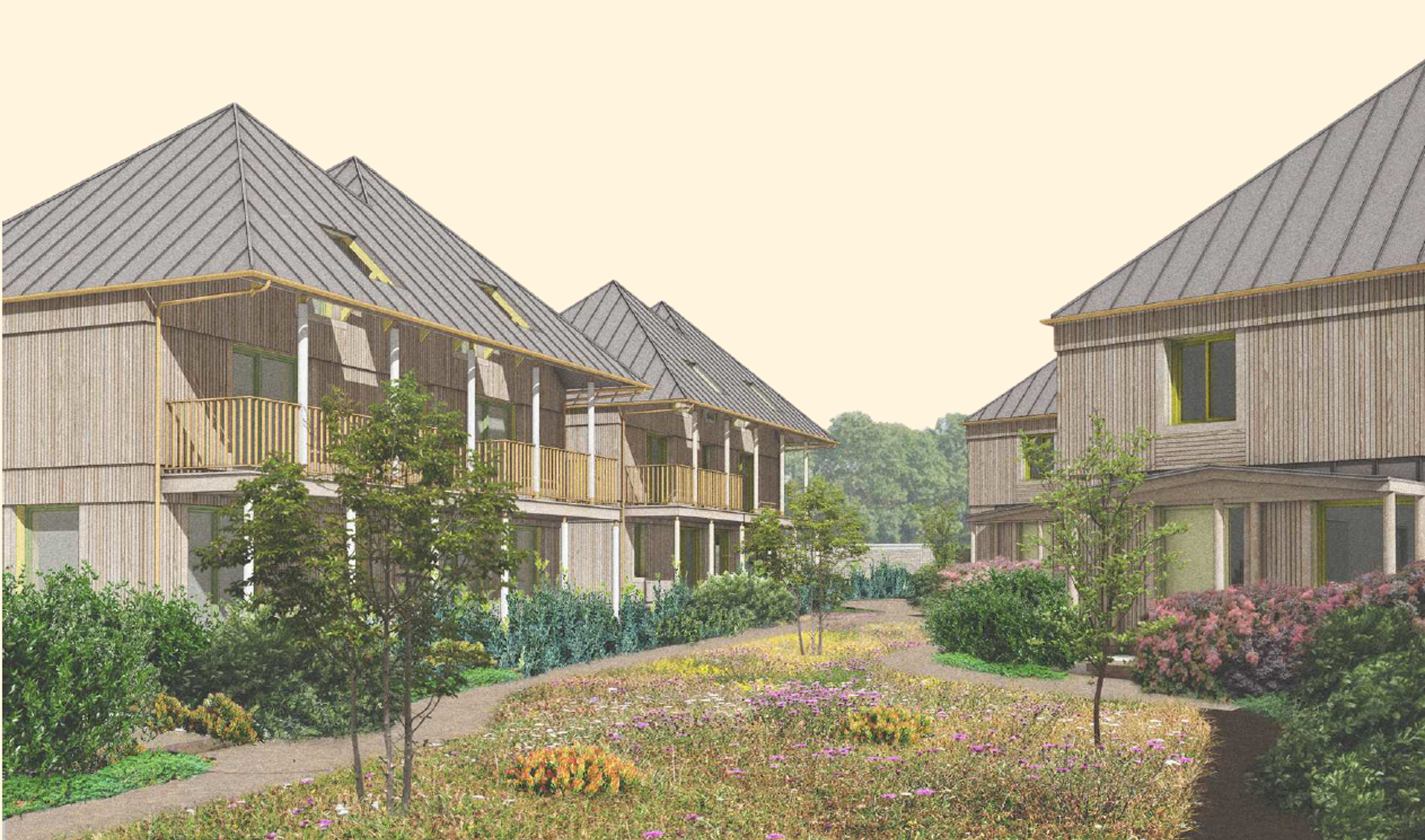 A landscaped courtyard with pathways and wildflowers is surrounded by modern, wooden two-story buildings with pitched roofs, balconies, and greenery on a clear day.