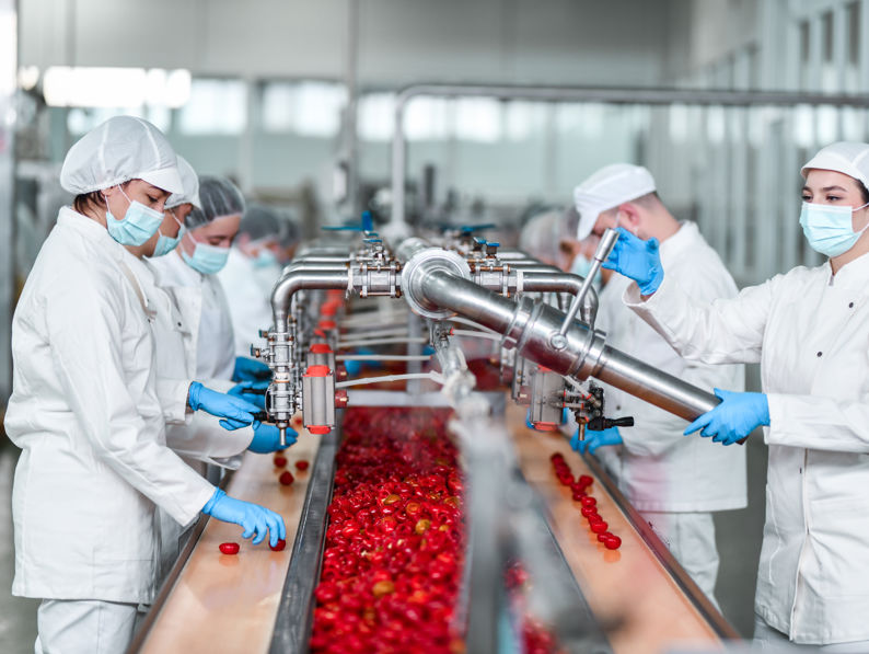 Workers in white uniforms, hairnets, and masks operate machinery on a factory line, handling red containers. The setting appears clean and organized, emphasizing hygiene and precision in an industrial environment.